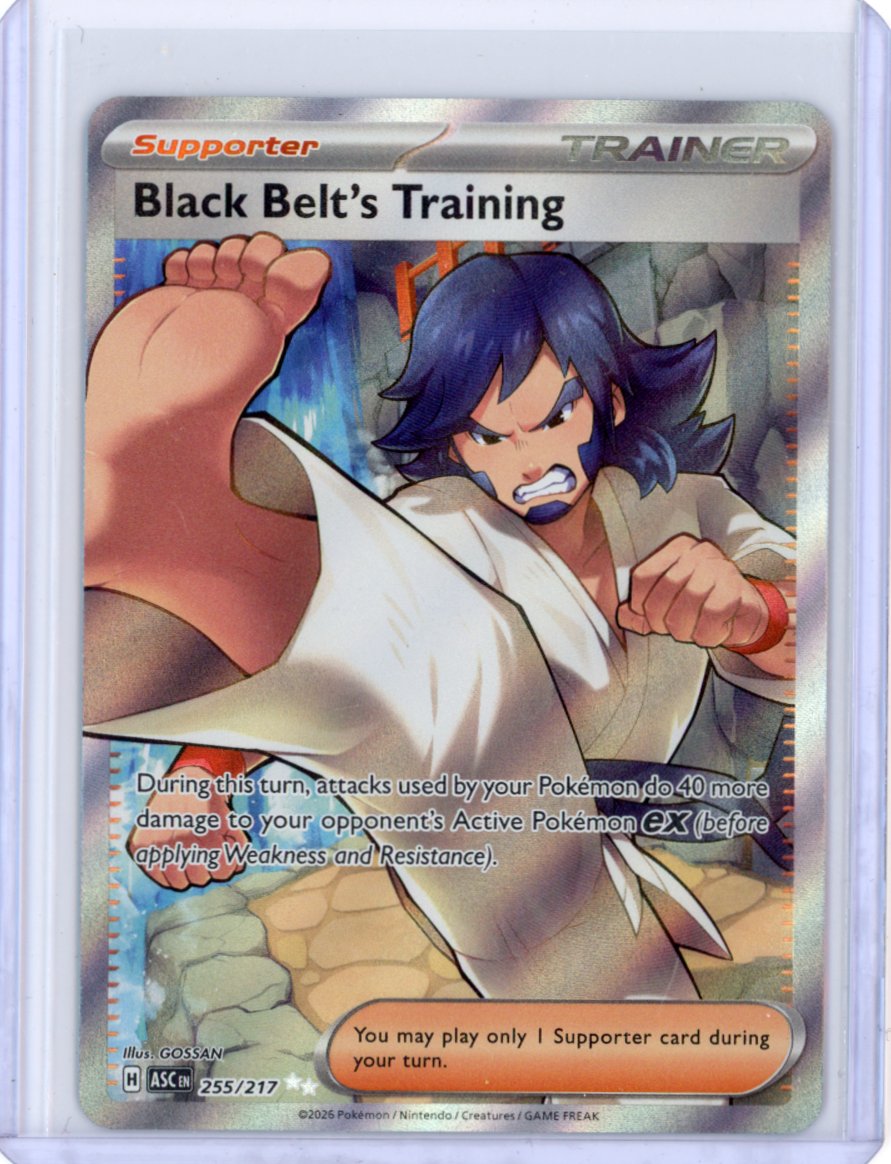 Black Belt's Training - ME: Ascended Heroes