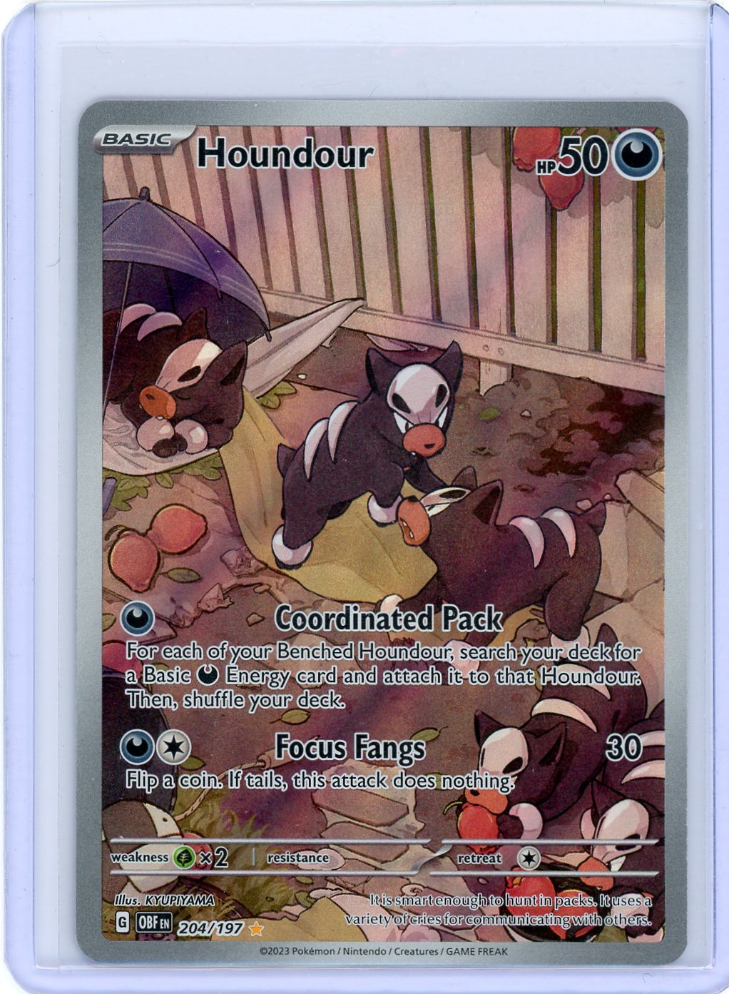 Houndour - 204/197 - SV03: Obsidian Flames