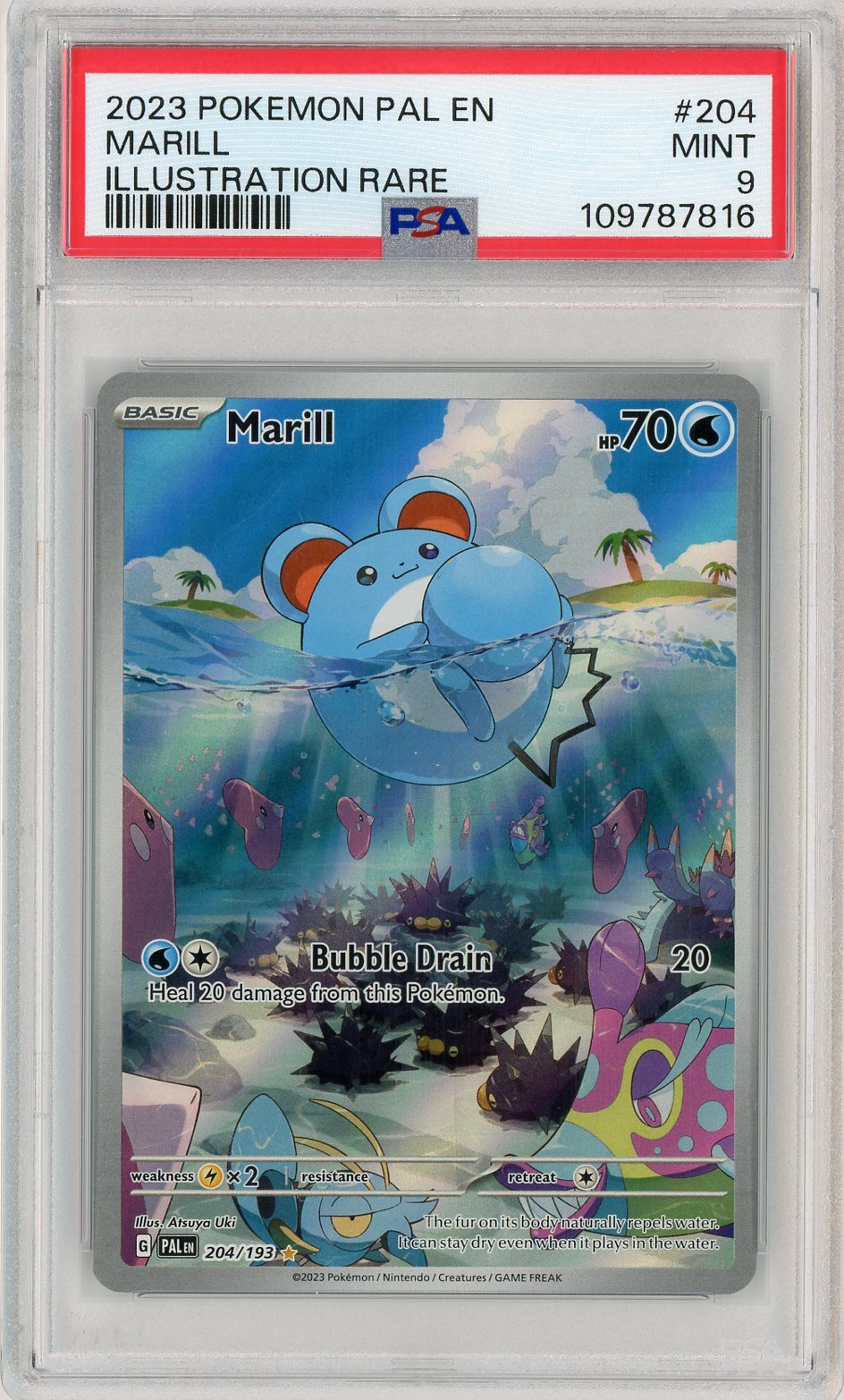 PSA 9 MINT - Marill - 204/193 - SV02: Paldea Evolved
