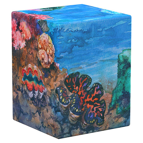 Deck Case: RTE Boulder 100+ Coral Places