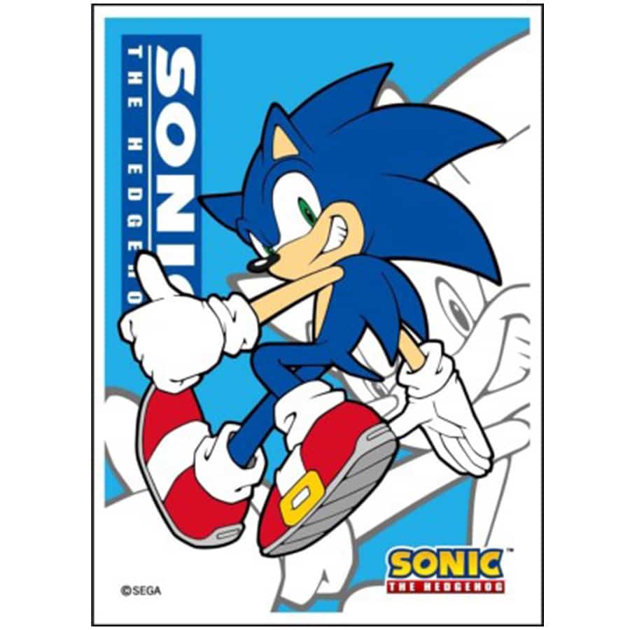ENSKY CARD SLEEVES: SONIC THE HEDGEHOG (65CT)
