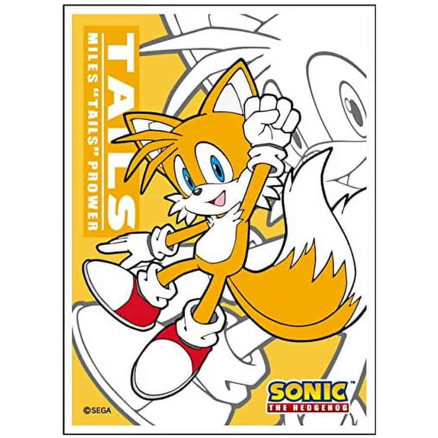 ENSKY CARD SLEEVES: SONIC THE HEDGEHOG (65CT)