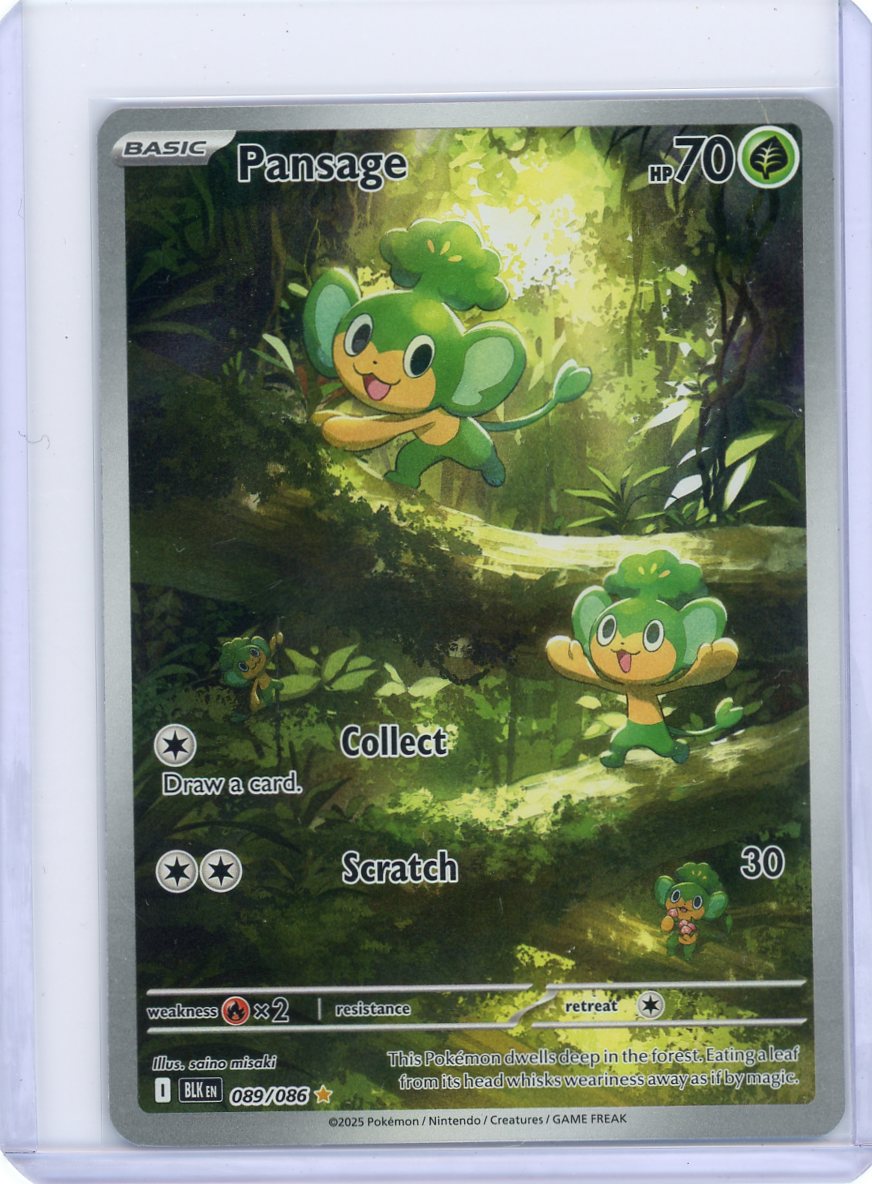 Pansage - 089/086 - SV: Black Bolt [NM]