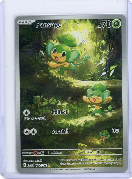 Pansage - 089/086 - SV: Black Bolt [NM]