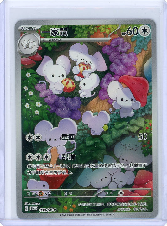 Chinese Scarlet & Violet PROMO Maushold 030/SV-P