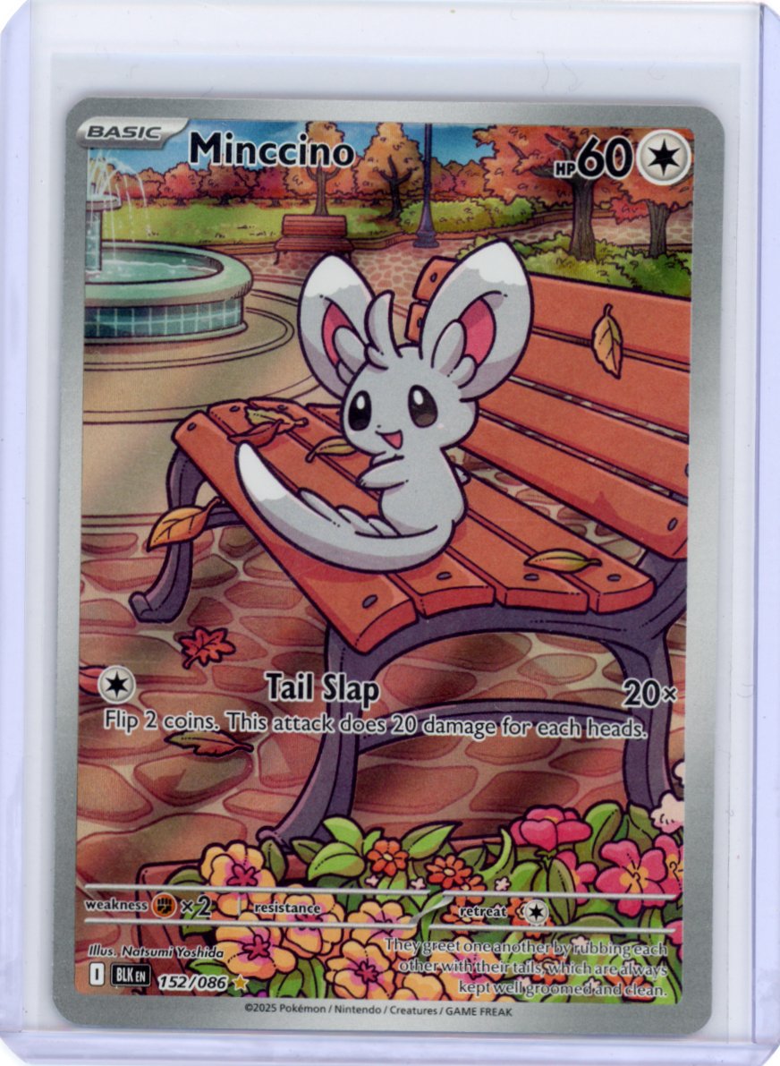 Minccino - 152/086 - SV: Black Bolt