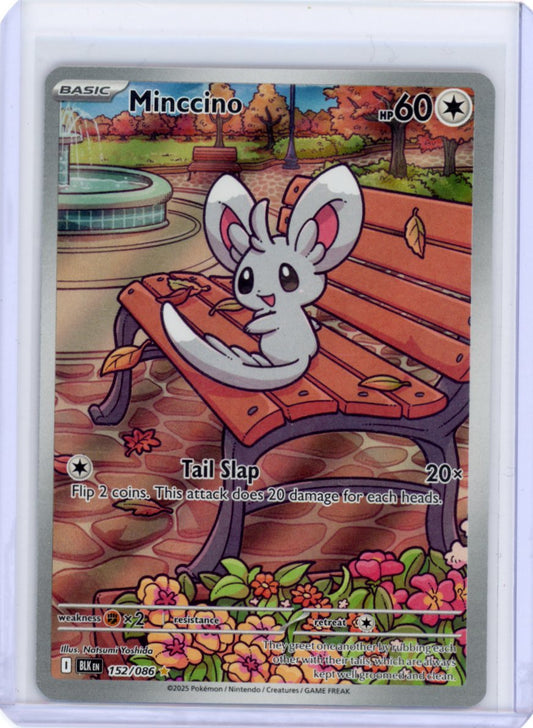 Minccino - 152/086 - SV: Black Bolt