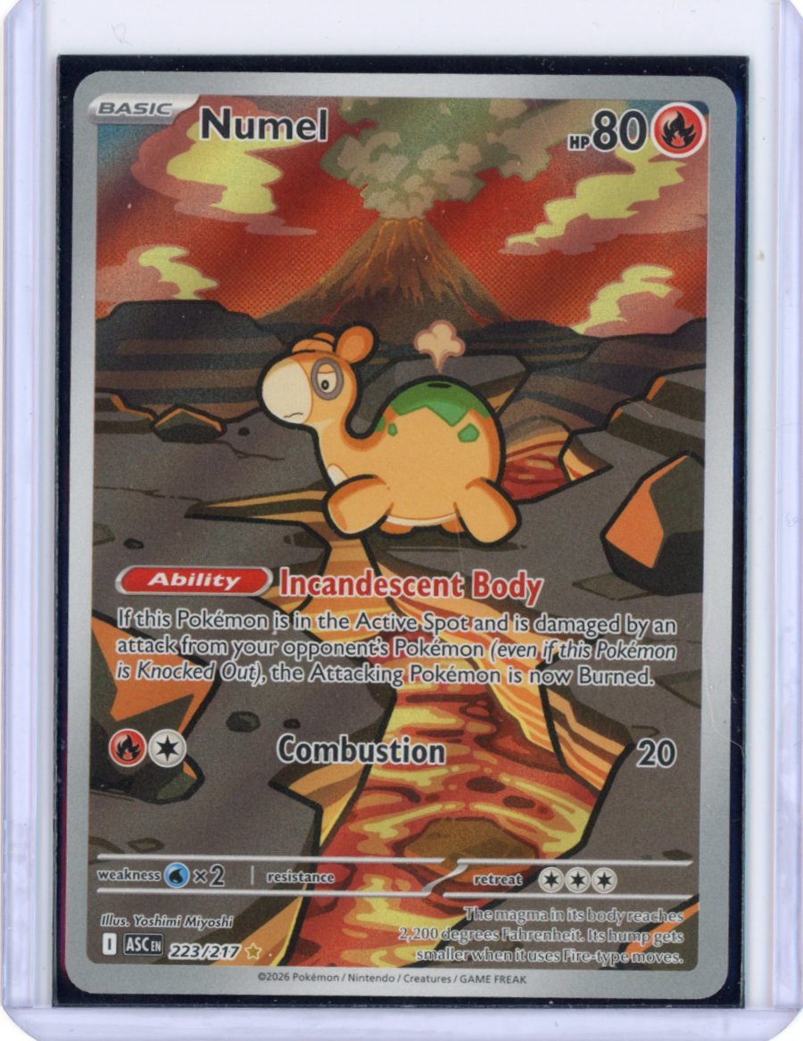 Graded Cards & Singles – Holo Horse Games LLC