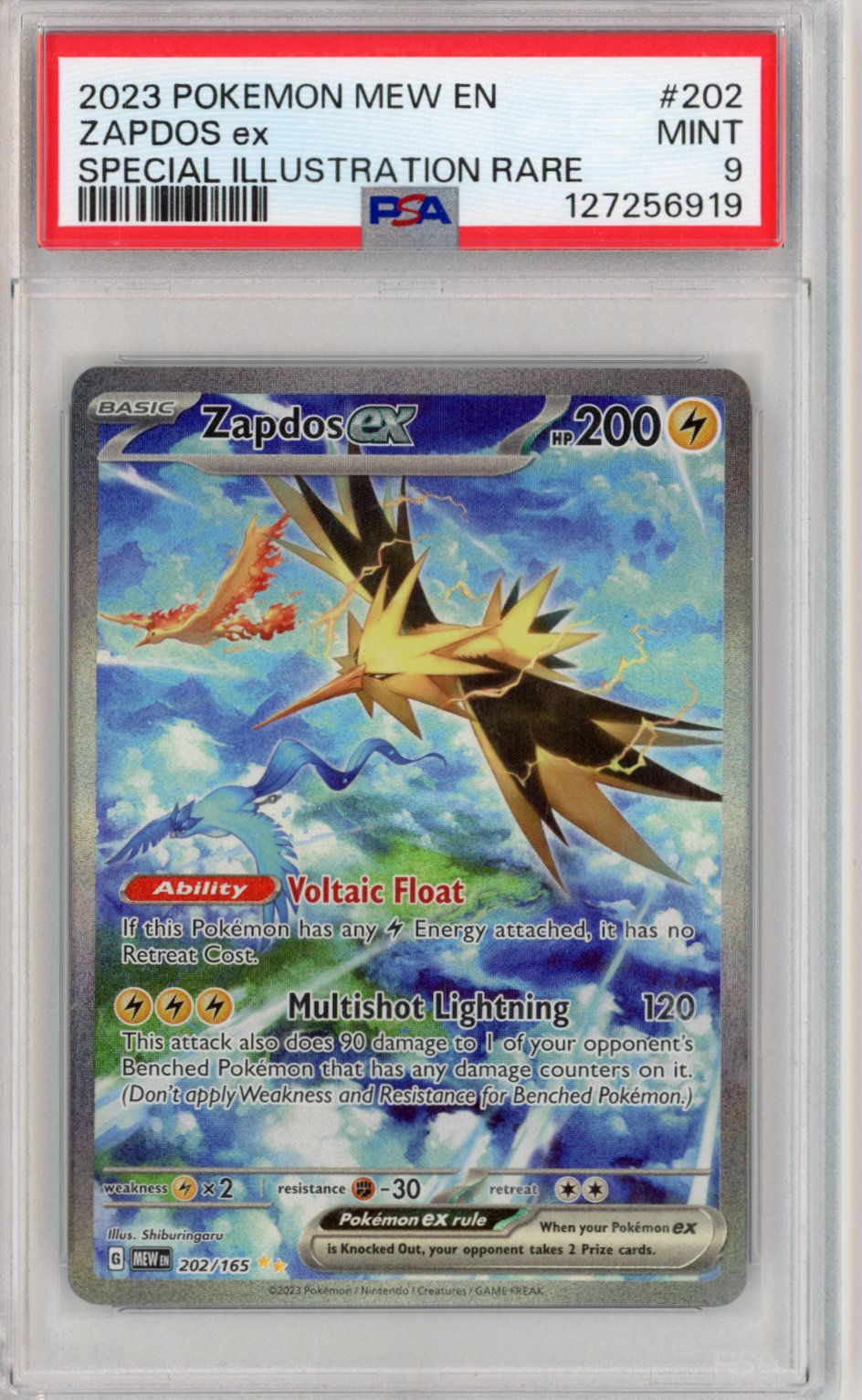 Graded Cards & Singles – Holo Horse Games LLC