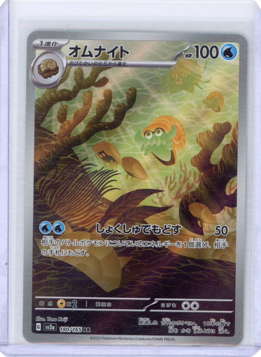Omanyte - 180/165 - SV2a