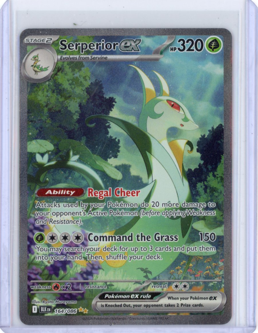 Serperior ex - 164/086 - SV: Black Bolt