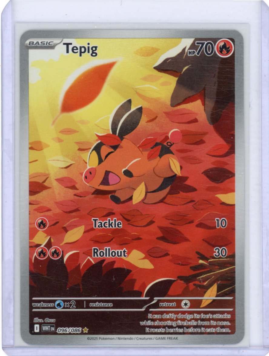Tepig - 096/086 - SV11W: White Flare
