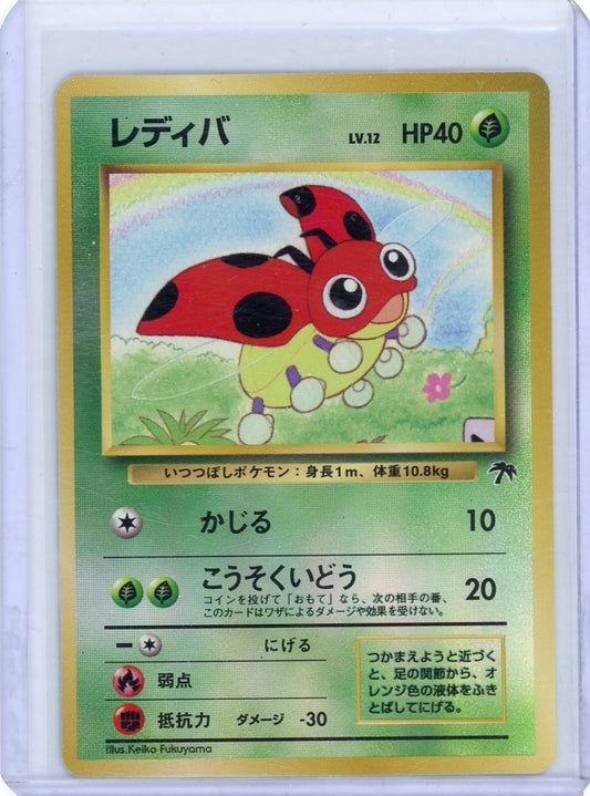 Ledyba - Southern Island