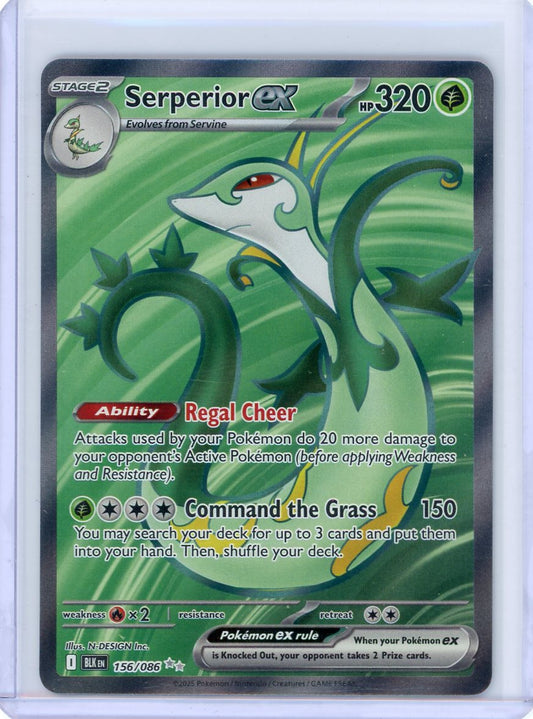Serperior ex - 156/086 - SV: Black Bolt