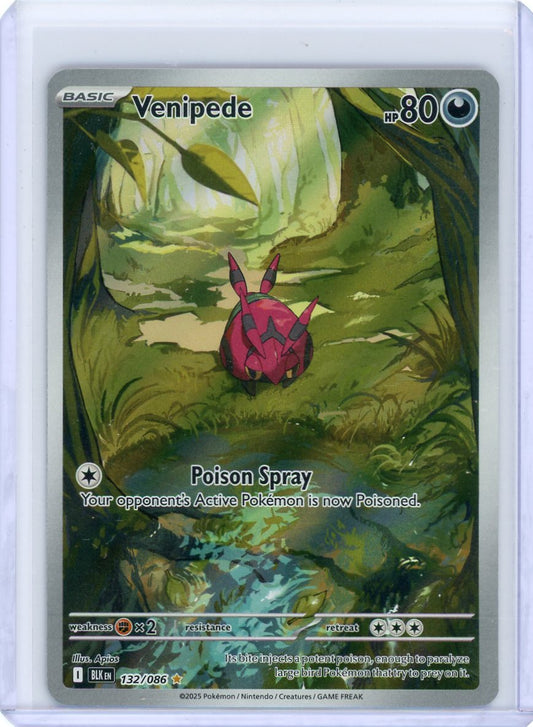 Venipede - 132/086 - SV: Black Bolt
