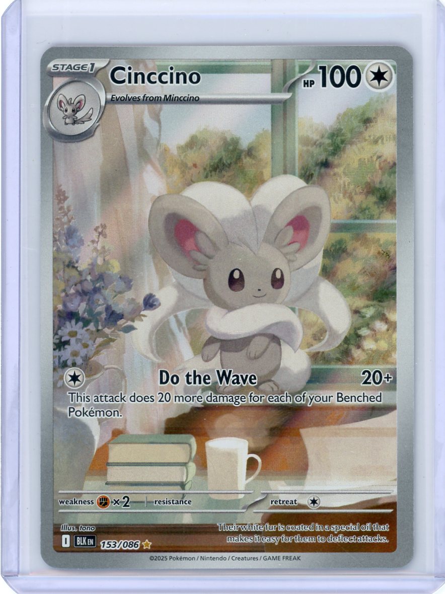 Cinccino - 153/086 - SV: Black Bolt