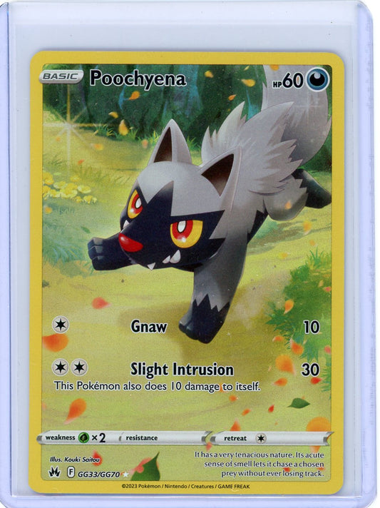 Poochyena - Crown Zenith: Galarian Gallery GG33/GG70