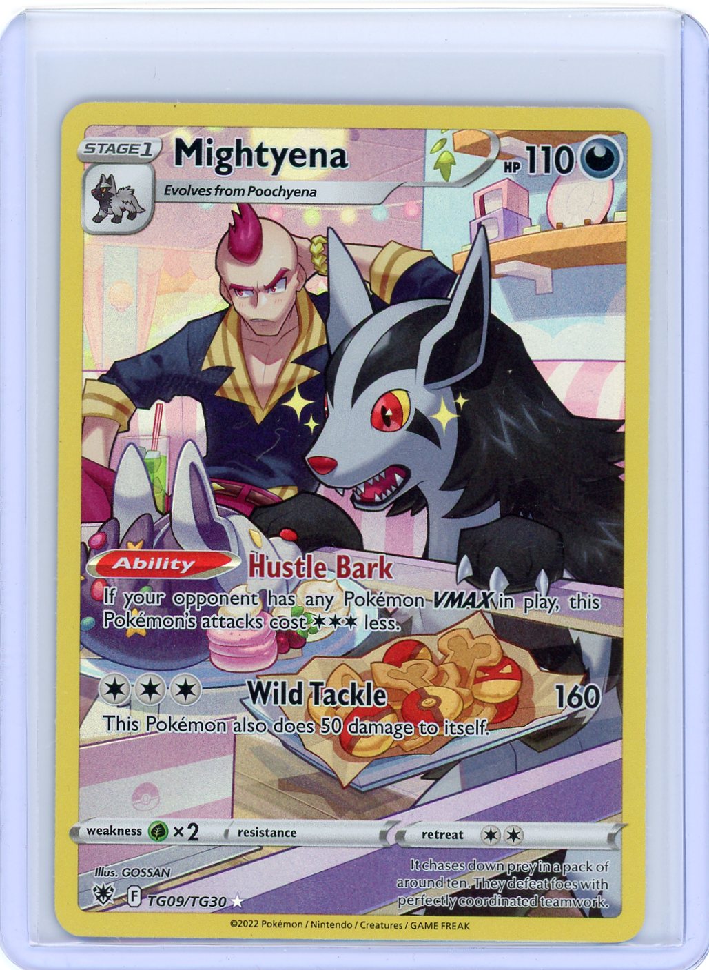 Mightyena - SWSH10: Astral Radiance Trainer Gallery