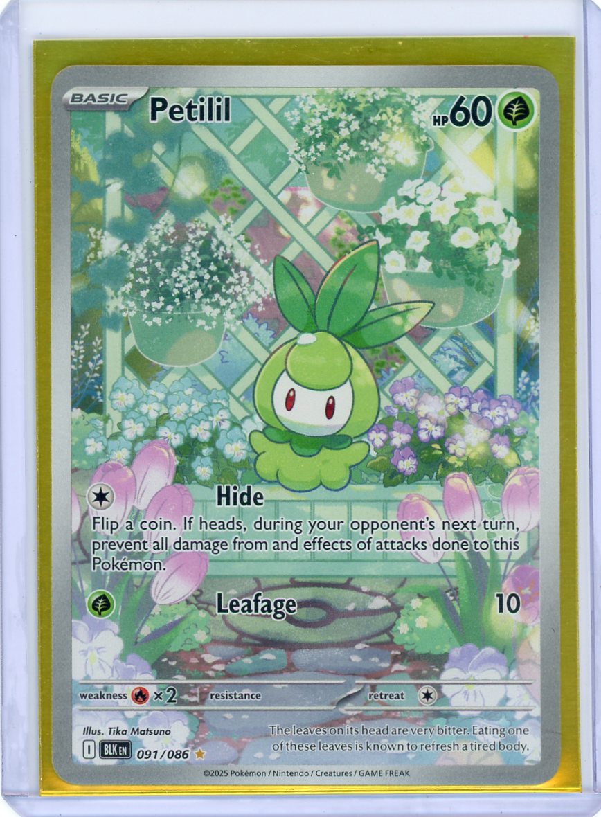 Petilil - 091/086 - SV: Black Bolt