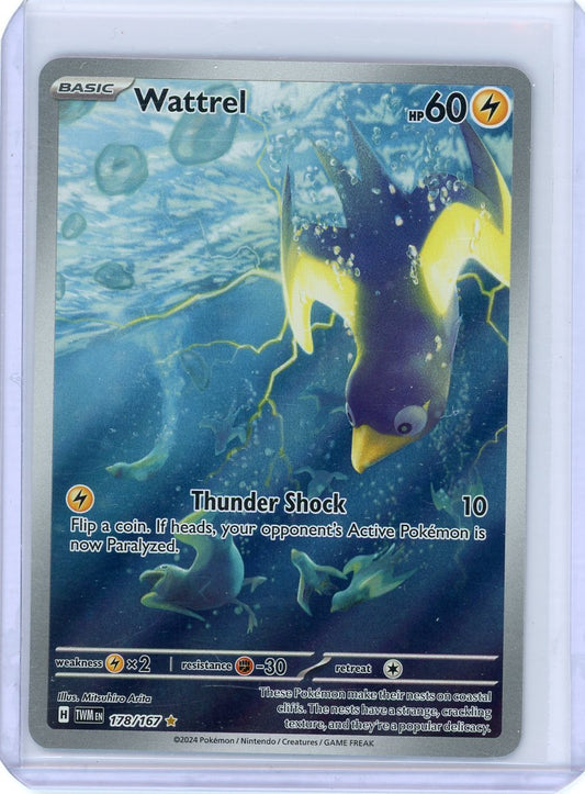 Wattrel - 178/167 - SV06: Twilight Masquerade