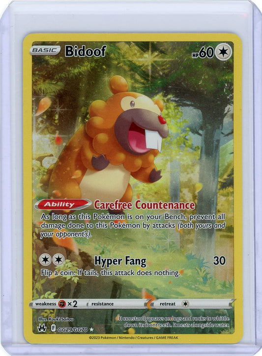 Bidoof - Crown Zenith: Galarian Gallery
