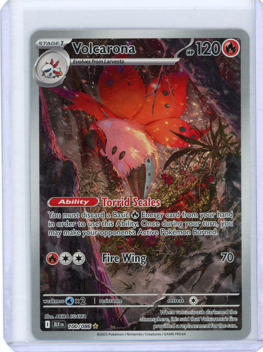 Volcarona - 100/086 - SV: Black Bolt