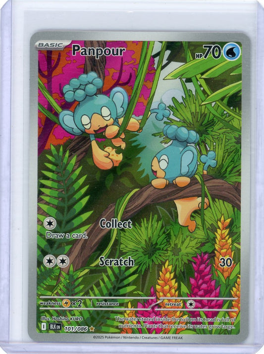 Panpour - 101/086 - SV: Black Bolt