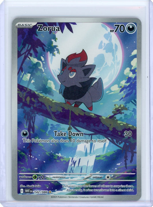 Zorua - 142/086 - SV: White Flare