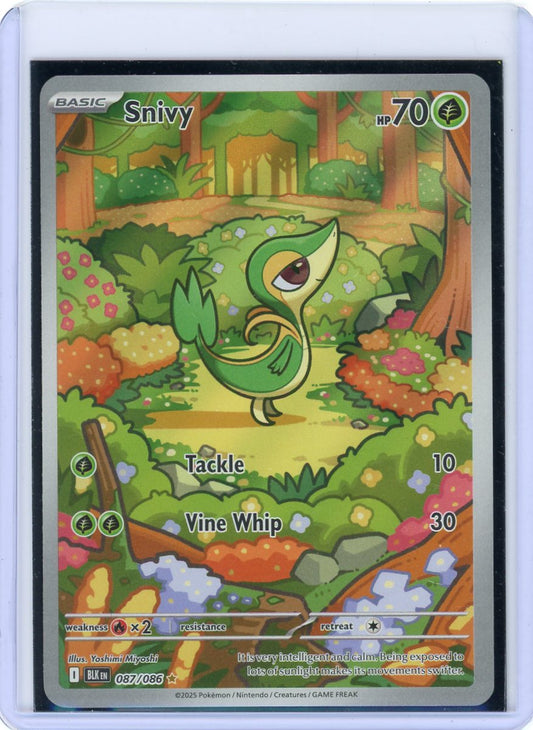 Snivy - 087/086 - SV: Black Bolt