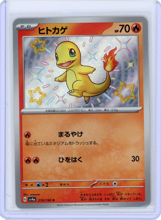 Charmander - 210/190 - SV4a: Shiny Treasure ex