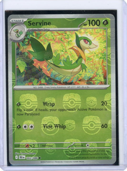 Servine (Master Ball Pattern) - SV: Black Bolt