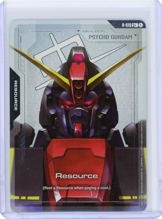 Resource (R-010) (C+) - Dual Impact